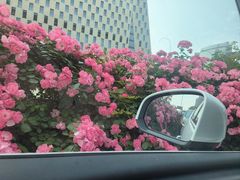 -钱江新城灯光秀