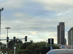 -溪岸路花鸟市场