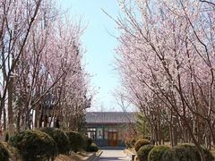 -东方华地城湿地温泉度假区