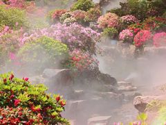 -上海辰山植物园