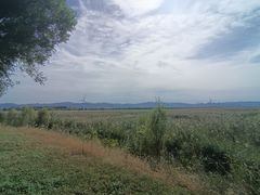 -野鸭湖国家湿地公园