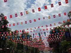 -半坡九号老挝冰咖啡