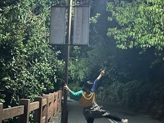 -杭州半山国家森林公园