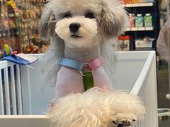 -萌兽医馆·眼科·异宠专科(三里屯店)