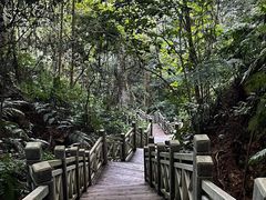 -南宁良凤江国家森林公园