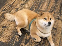 -三目仓咖啡(贤南路店)