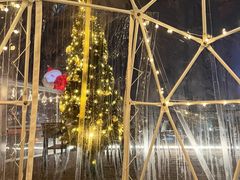 -顽啤熊·酒客酒馆(苏城夜景必选店)