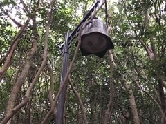 -普陀山风景区-佛顶山