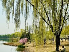 -东郊湿地公园