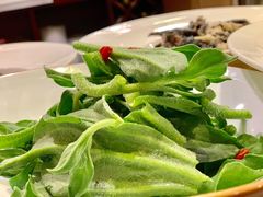 -钦善斋(武侯祠店)