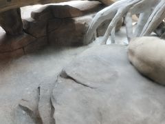 -宁波野生动物园