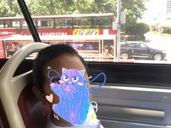 -BUS TOUR观光巴士