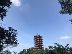 -缙云山景区