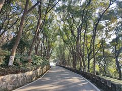 -上海市保健医疗中心