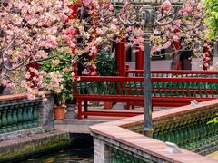 -宝墨园景区