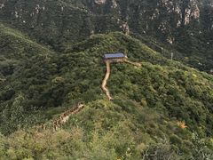 -大岭沟猕猴桃谷风景区