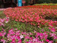 -成都市第一人民医院(南区)