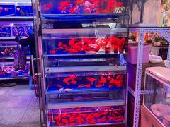-宝鸡东道花鸟鱼虫市场(吉利花园商场店)