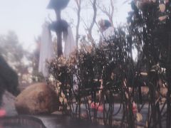 -威海天沐度假区温泉
