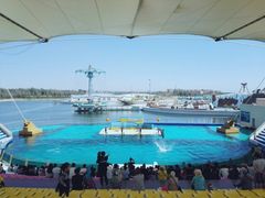 -秦皇岛乐岛海洋王国