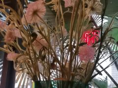 -陶享时光西餐·下午茶·竹林花园(新城店)