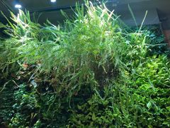 -COSTA COFFEE(武汉武商MALL店)