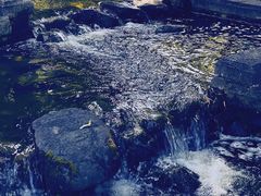 -蓝壁虎咖啡酒馆