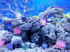 -成都浩海立方海洋公园