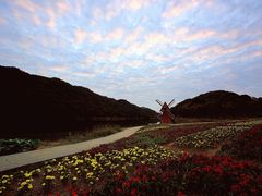 -广州市石门国家森林公园