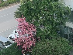 -雄诏大酒店火锅·特色小吃
