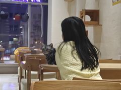 -藏猫猫咖啡主题馆(中央大道店)