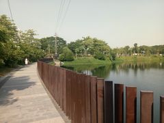 -王借岗森林公园