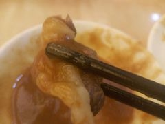 -陈记顺和潮汕牛肉火锅(韩江路店)