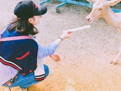 -北京麋鹿生态实验中心