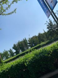 -HEYAN长风荷妍专业脱毛美肤
