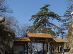 -塔云山