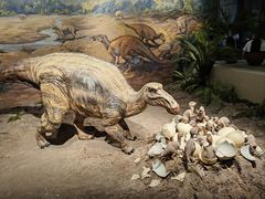 -自贡恐龙博物馆