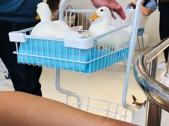 -怪兽屋·羊驼·猫咖·狗咖(俊华广场店)