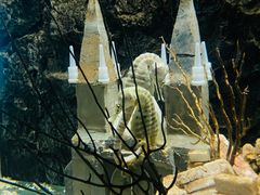 -太平洋海底世界