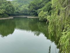 -柯岩风景区