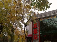 -北京大学-医学部回民清真餐厅