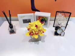 -MIVI野生眉纹绣纹眉