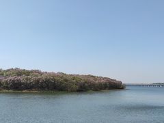 -丁香湖公园