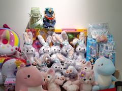 -舞蕾舞蹈(特长生校区)