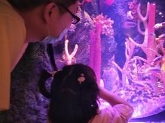 -沈阳海洋探索中心