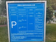 -野狸岛