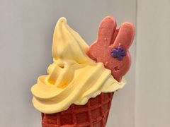 -麦当劳(温州人民路店)