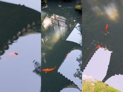 -东山雕花楼