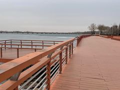 -丁香湖公园