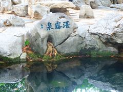 -趵突泉景区
